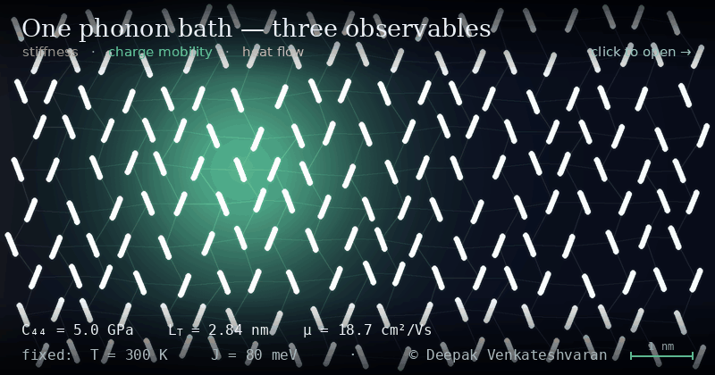 One phonon bath, three observables — interactive figure